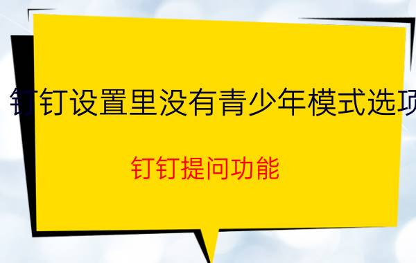 钉钉设置里没有青少年模式选项 钉钉提问功能？